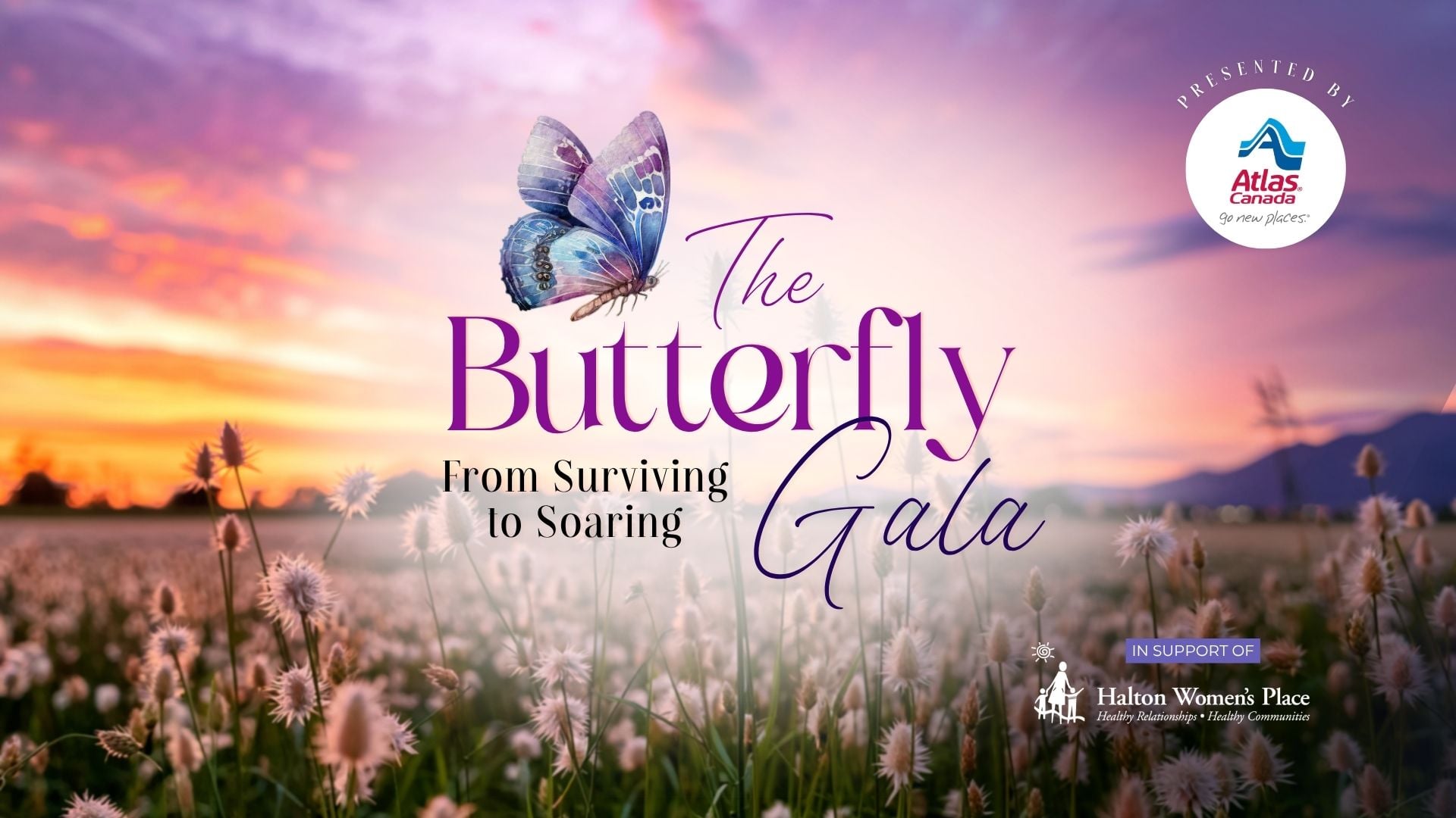 The Butterfly Gala hero artwork